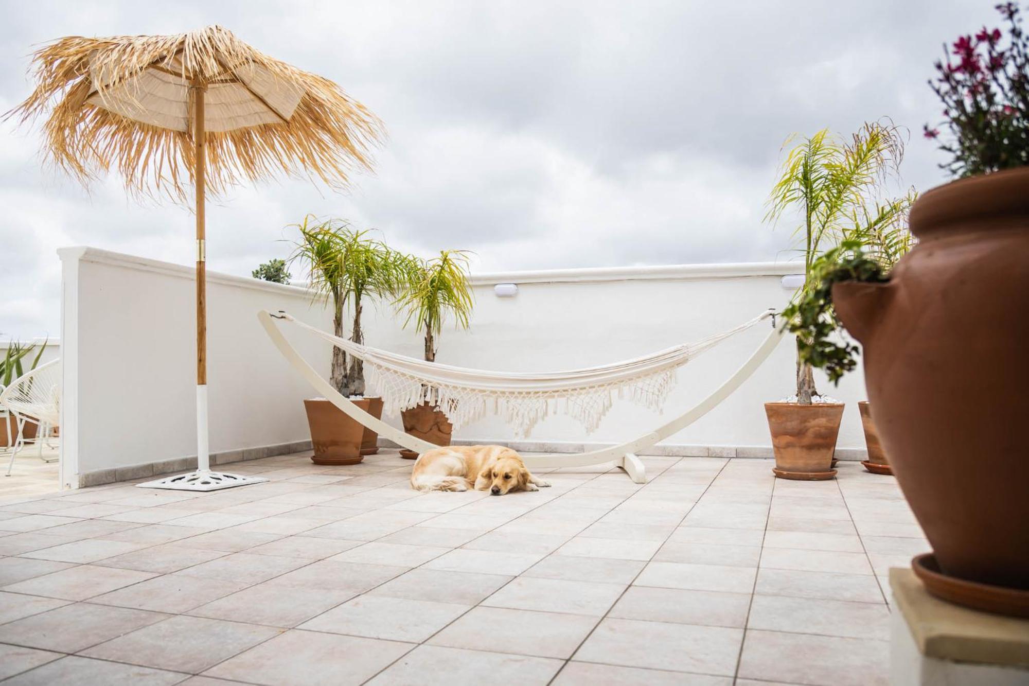 Sea Suites Ugento Εξωτερικό φωτογραφία